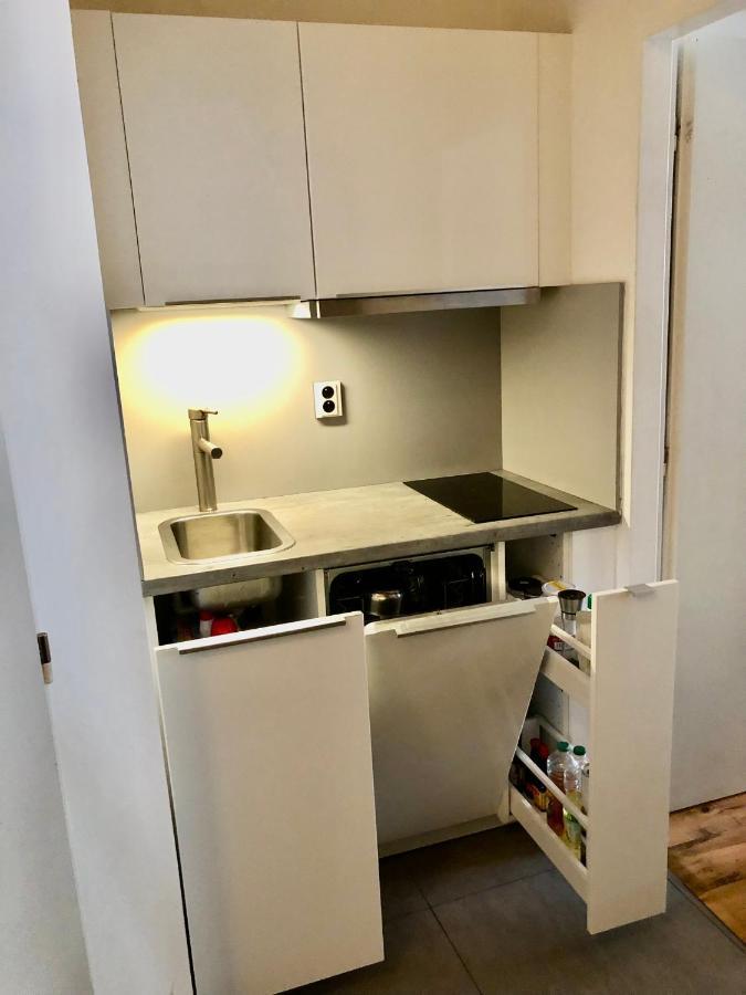Karlin Cozy Studio プラハ エクステリア 写真